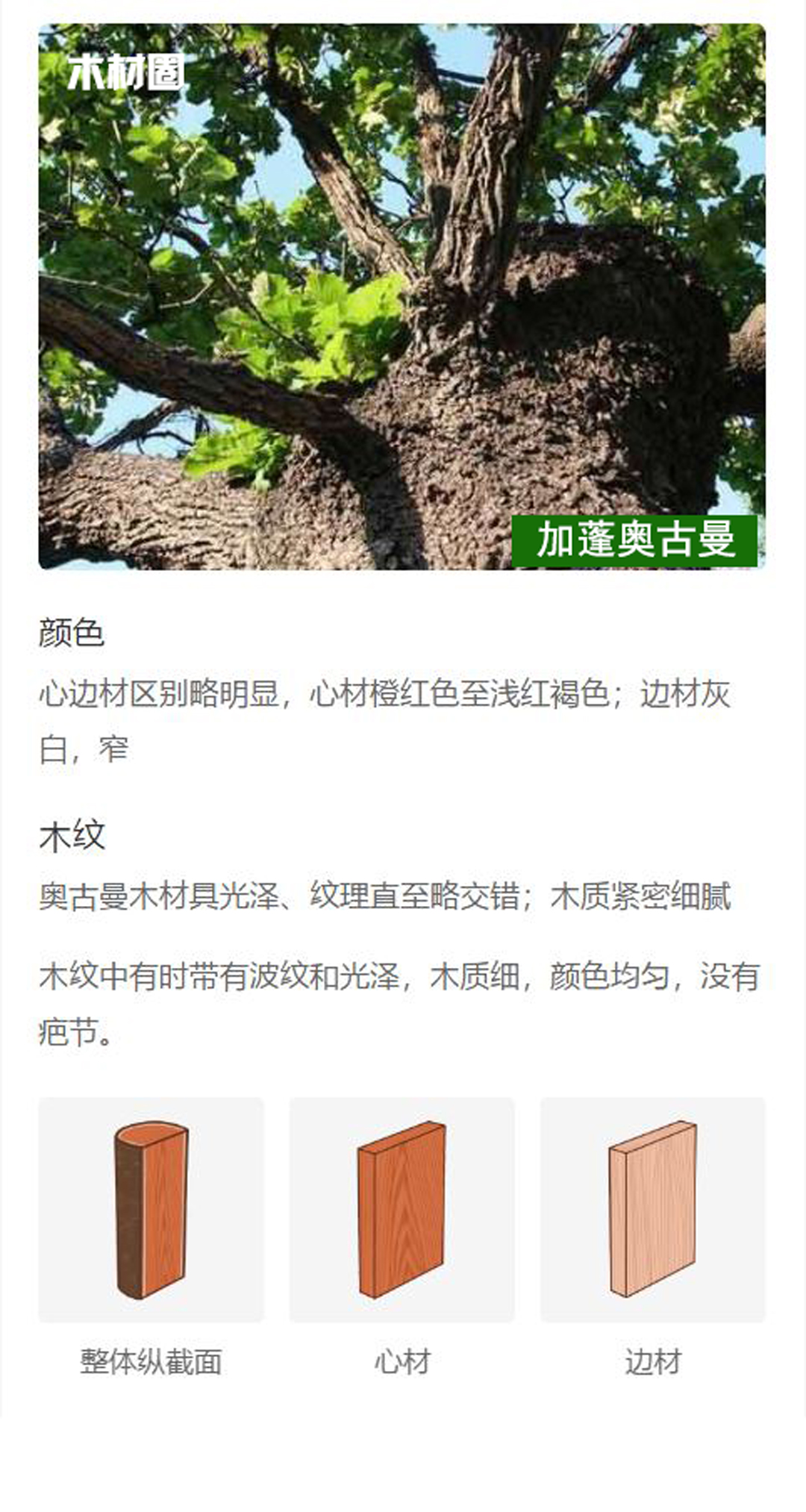 奥古曼2.JPG