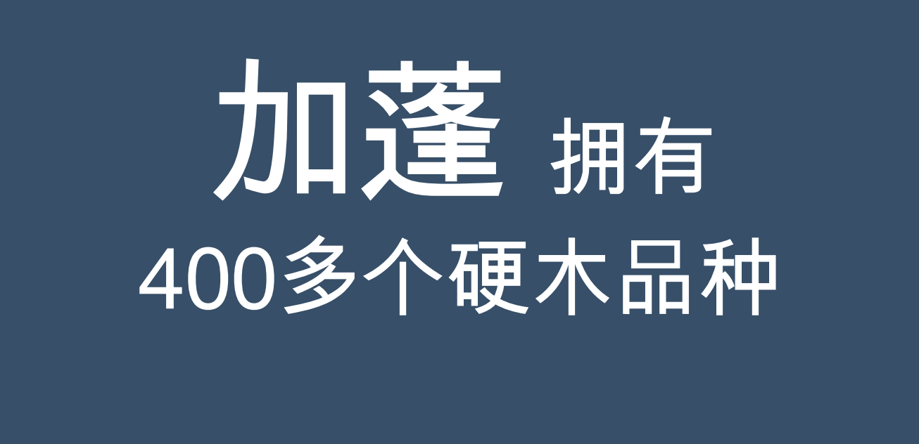 21321212.PNG